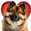 Saint-Valentin Eurasier