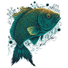 Fischer Fisch