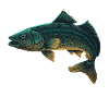 Fishing Gifts
