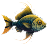 Yellow Fish