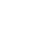 Toxodera Gottesanbeterin