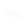 Pig Hunting Hunter Pig Hunting