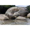 rock on the river