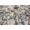pebbles rocks