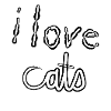 I LOVE CATS