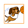 Voici le Basketbarker