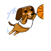 Here Comes The Basketbarker