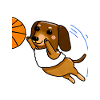 Here Comes The Basketbarker