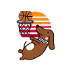 Voici le Basketbarker