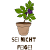 Sei nicht feige