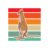 Australisches Känguru Australien Kangaroo