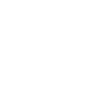 The Transport Kings