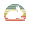 Hares Rabbit Owners Carrots Breeders