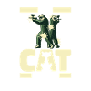 Paintball Cat