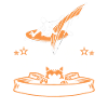 Windsurfen Windsurfer Katze