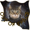 Space cat 4