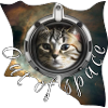 Space cat in helmet