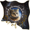 Space cat 2