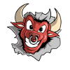 Cartoon Bull Head Costume