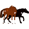 Chevaux - Etalons