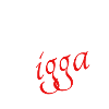 Moin Digga