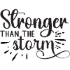 Stronger than the Storm