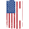 Sport Us Flag Golf