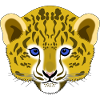 Panther Leopard Jaguar Baby Head