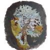 Pareidolichen