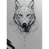Sketch of a wolf with a black pencil