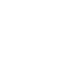 Secret Agent King