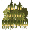 green lung rainforest