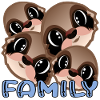SLOTH BEAR FAMILY - CUTE ANIMAL