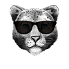 Snow leopard