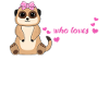 Suricate disant cadeau dames fille