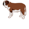 St. Bernard Dog Lovers Cadeau