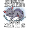 Langschläfer Katze Müde Schlaf