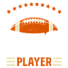 Professional Fantasy Football Player