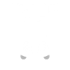 11th birthday Level up