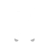 17th birthday Level up