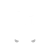 16th birthday Level up