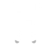 15th birthday Level up