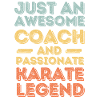 Trainer Karate retro