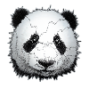Panda - cooler Pandabär - einzigartiges Design