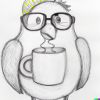 Early morning bird