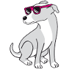 Dog with sunglasses