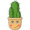 A cute cactus