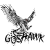 Goshawk Goshawk Bird of Prey