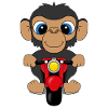 MOTORRAD - AFFE - TIER - TIERISCH