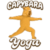 Yoga Exercises Capybara